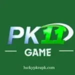 pk11 game
